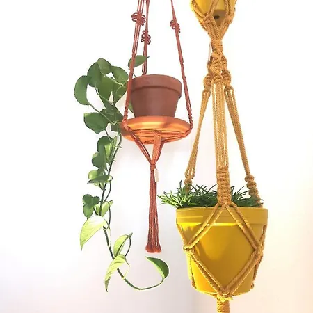 Apartamento Des Arcades